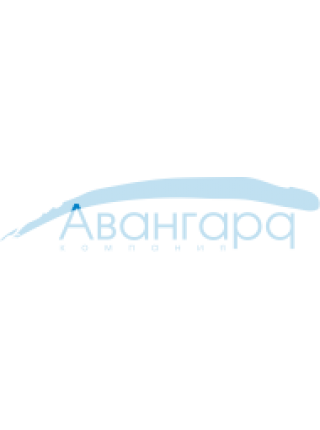 Авангард СПБ